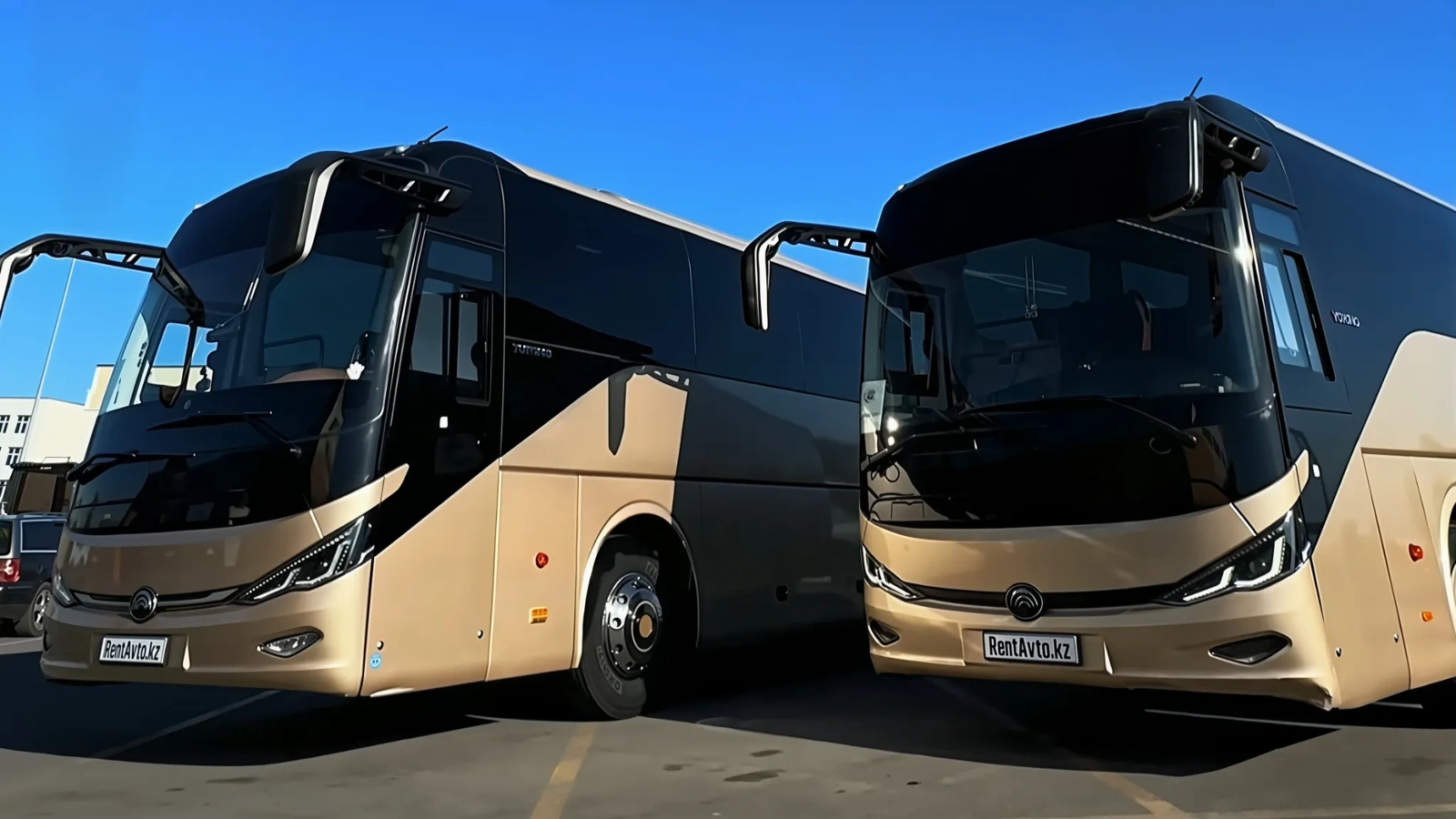 Современные туристические автобусы с фирменной ливреей иллюстрирует уровень автобусов, доступных в Астане