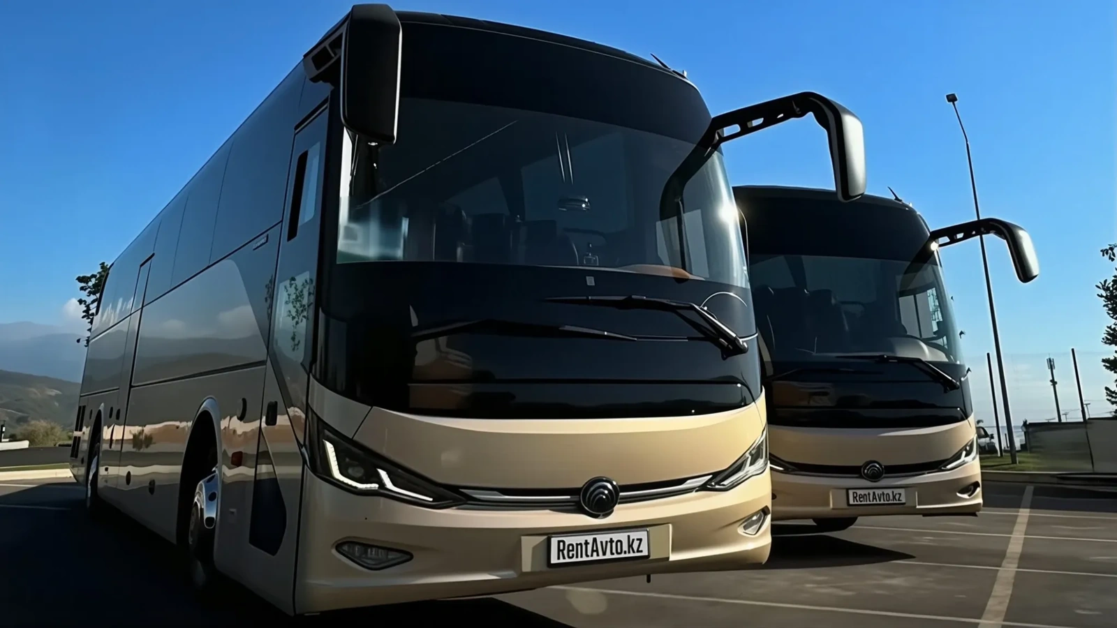 Два больших автобуса стоят рядом на площадке и формируют парк автобусов с водителями для корпоративных клиентов